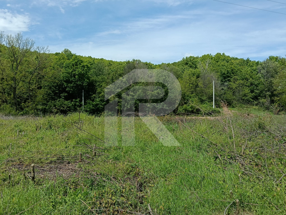 intravilan Tiparesti, relaxare aproape de padure