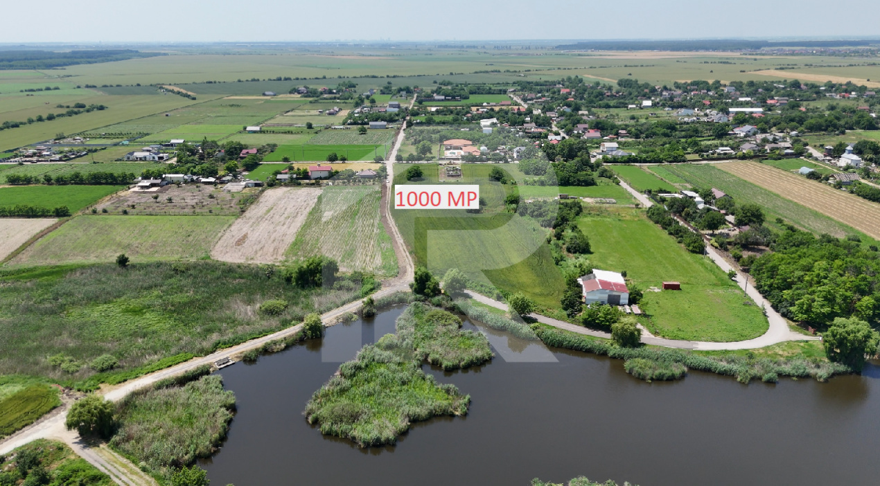 DASCALU-CREATA Lot 1000 MP