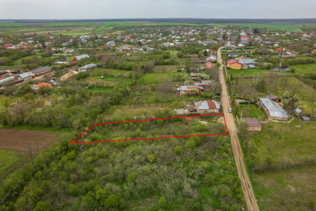 LETCA NOUA, TEREN CONSTRUCTII 1184 MP, FRONT 21 M !