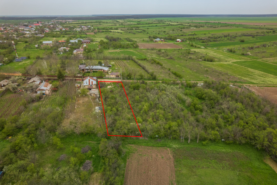 LETCA NOUA, TEREN CONSTRUCTII 1184 MP, FRONT 21 M !