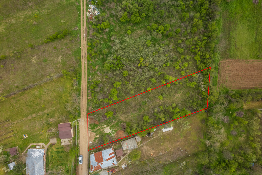 LETCA NOUA, TEREN CONSTRUCTII 1184 MP, FRONT 21 M !