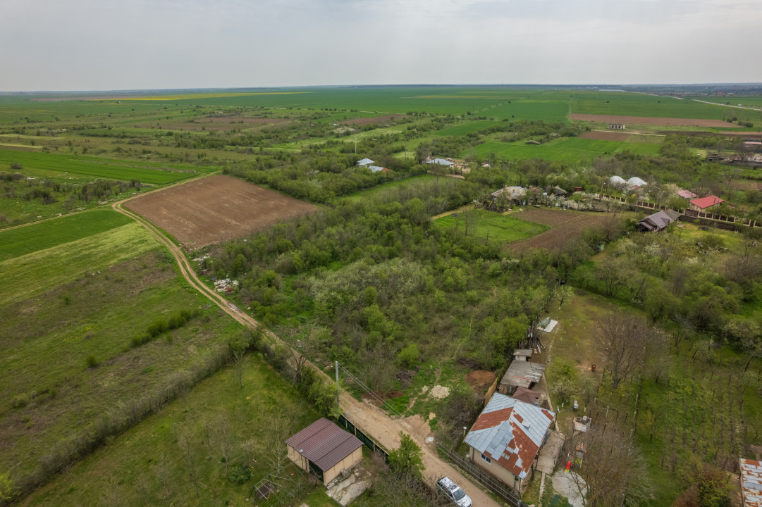 LETCA NOUA, TEREN CONSTRUCTII 1184 MP, FRONT 21 M !