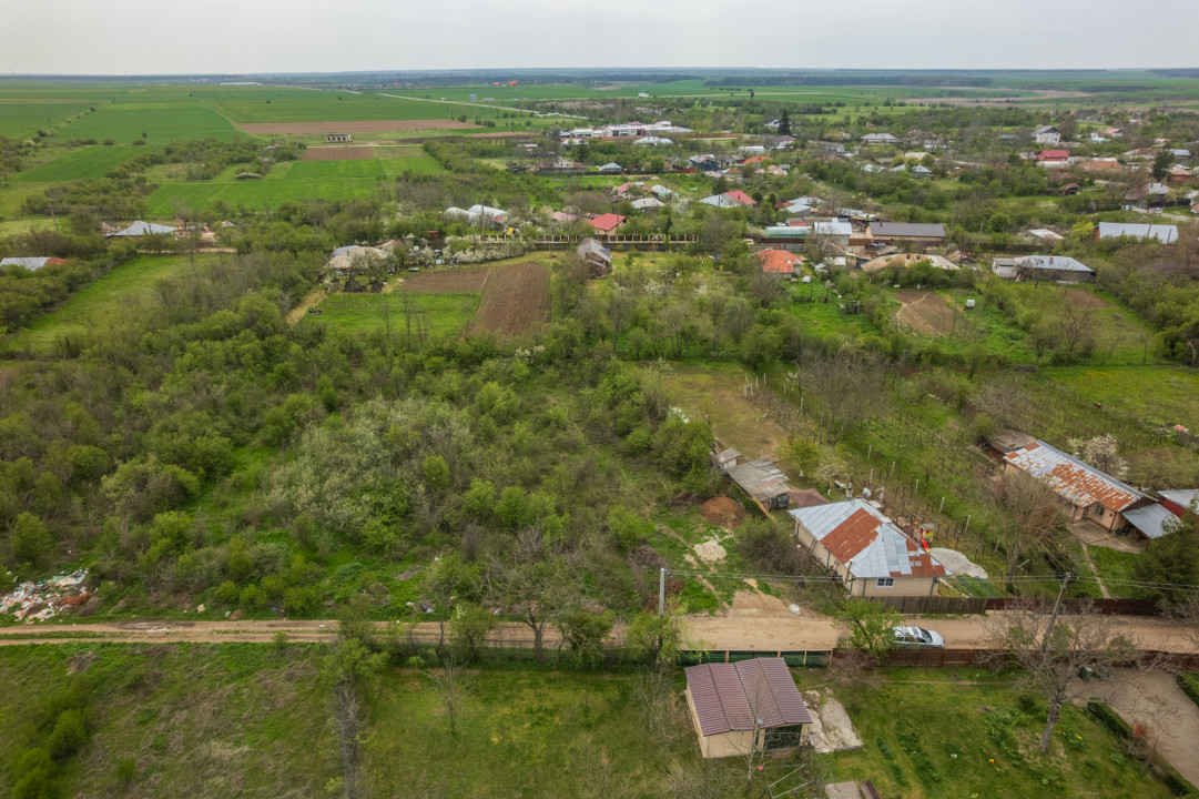 LETCA NOUA, TEREN CONSTRUCTII 1184 MP, FRONT 21 M !