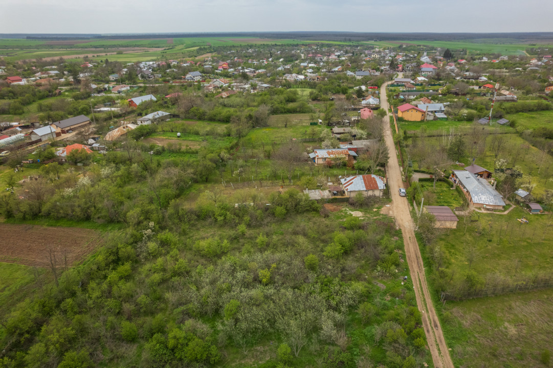 LETCA NOUA, TEREN CONSTRUCTII 1184 MP, FRONT 21 M !