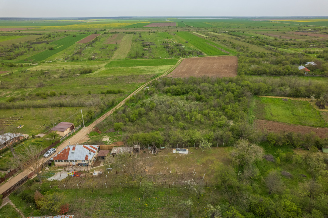 LETCA NOUA, TEREN CONSTRUCTII 1184 MP, FRONT 21 M !