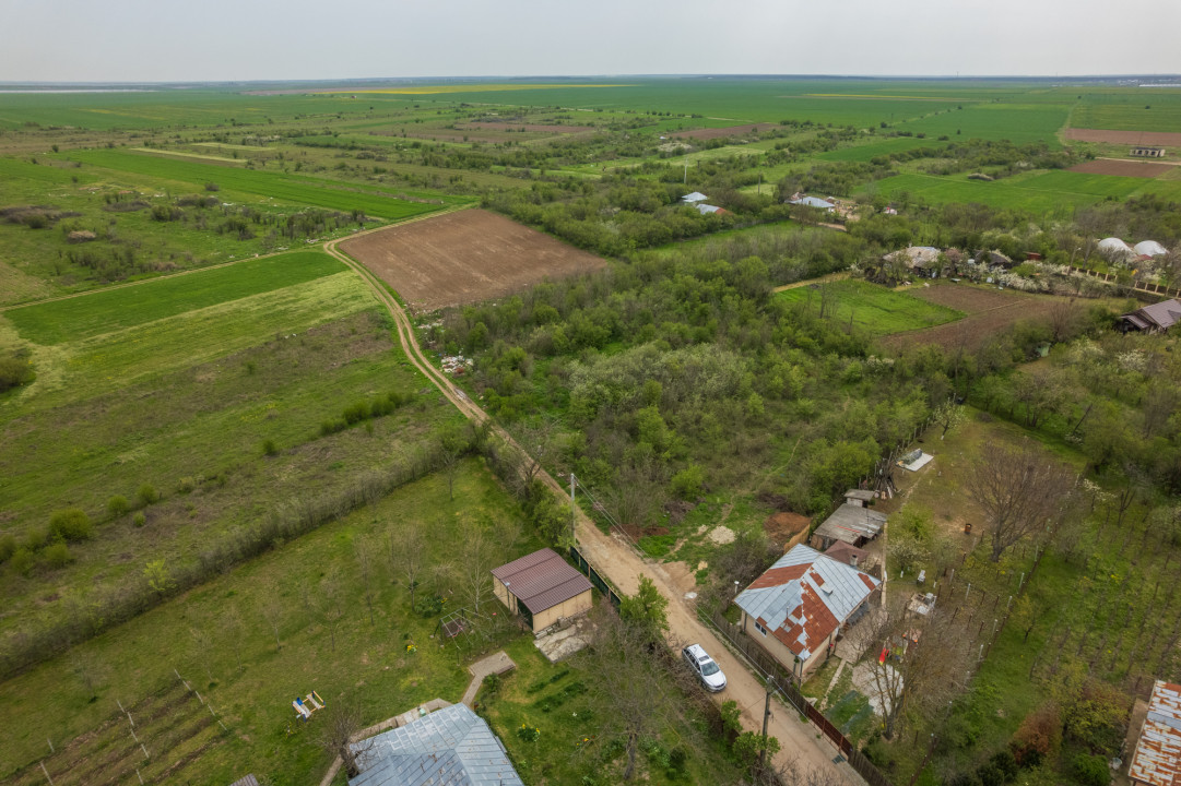 LETCA NOUA, TEREN CONSTRUCTII 1184 MP, FRONT 21 M !