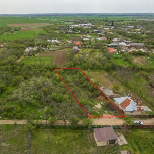 LETCA NOUA, TEREN CONSTRUCTII 1184 MP, FRONT 21 M !