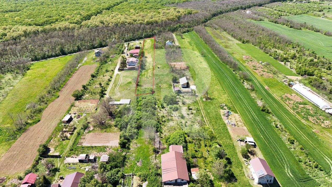 Lot 3600 mp Siliștea Snagovului