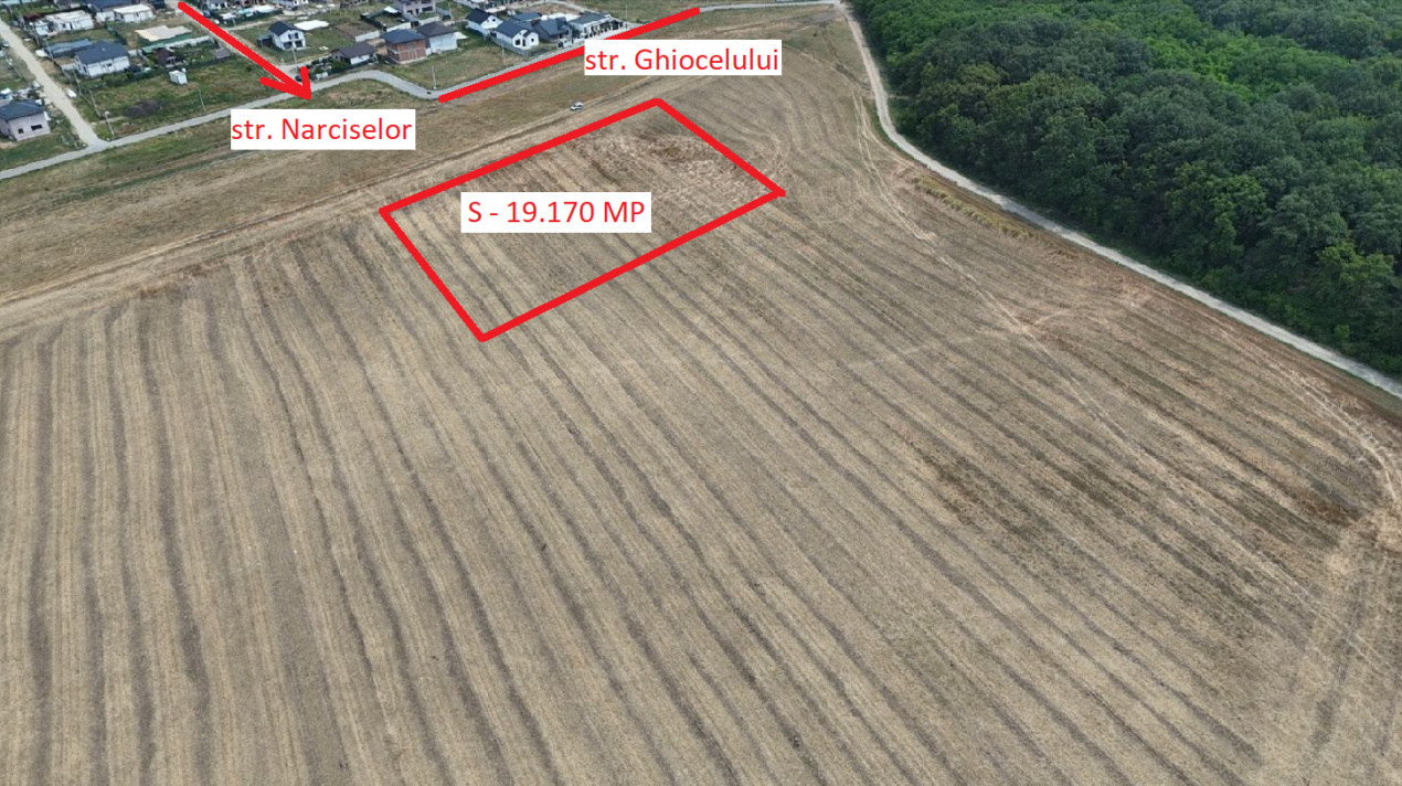 DASCALU, LOT 19.170 MP!