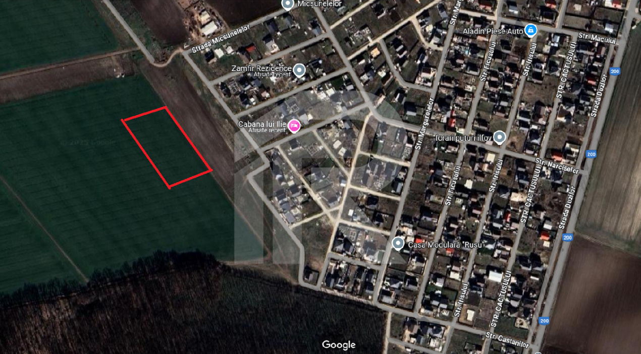 DASCALU Lot 19.170 MP