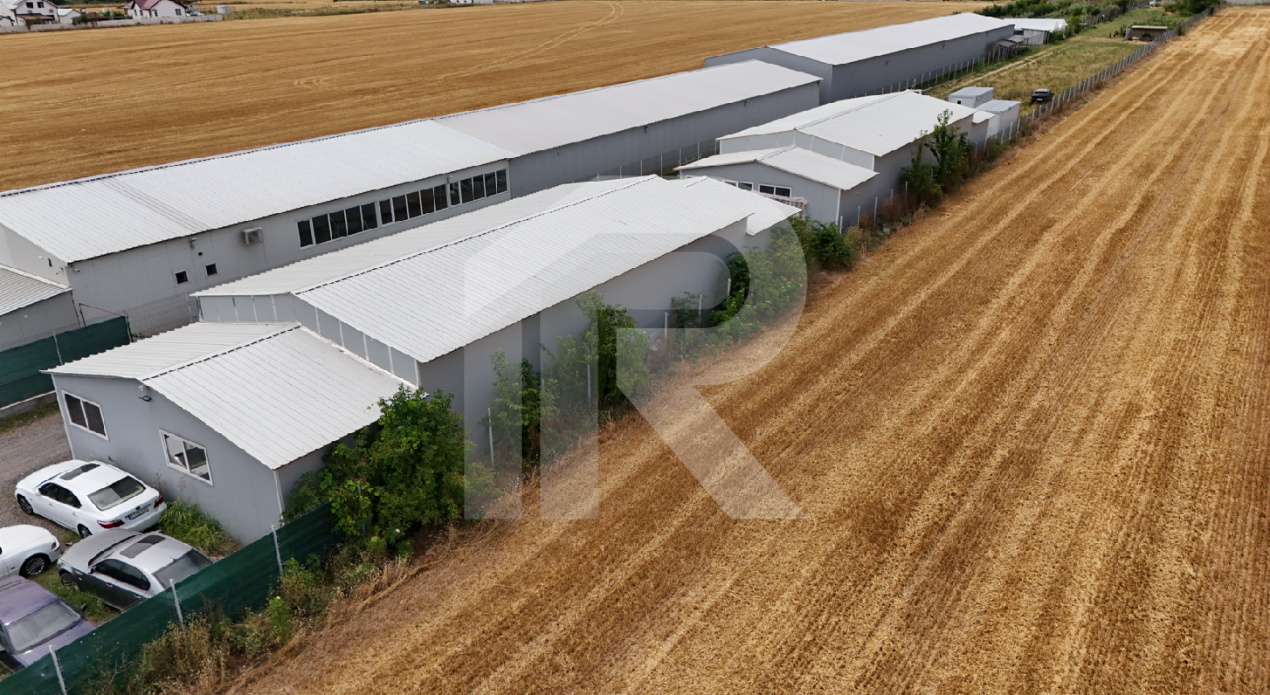 CIOLPANI Lot 5.000 MP