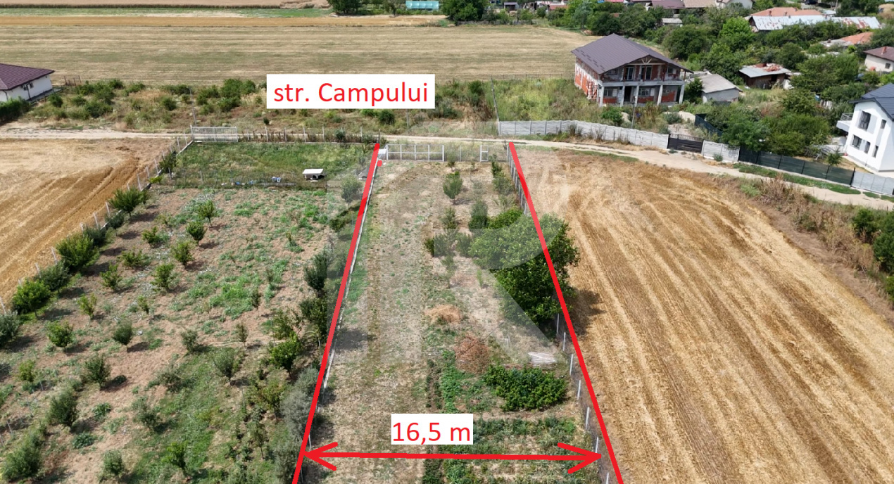 CIOLPANI Lot 5.000 MP