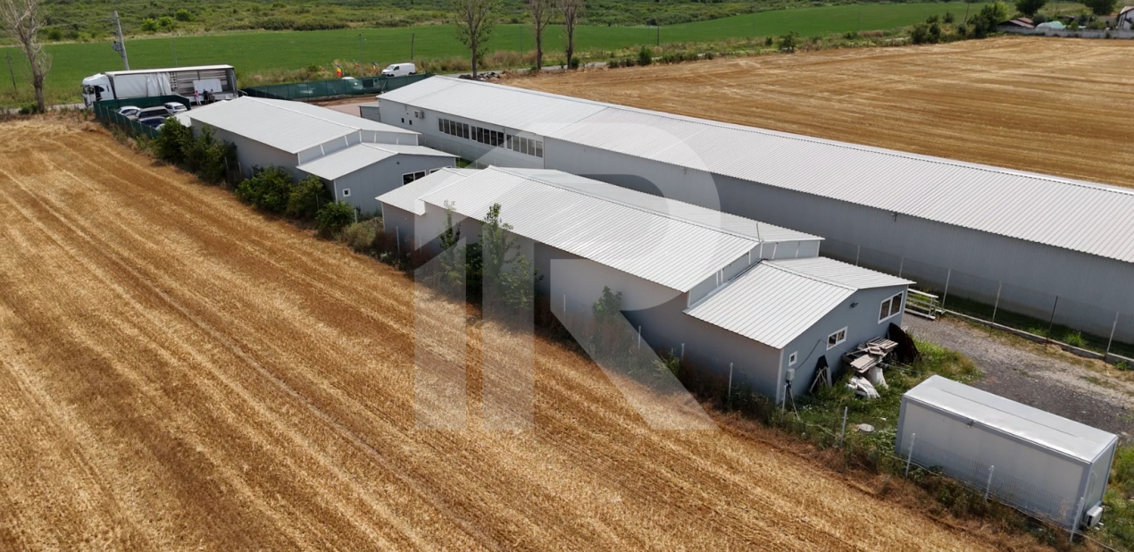 CIOLPANI Lot 5.000 MP