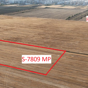 Popești-Leordeni Lot 7809 MP