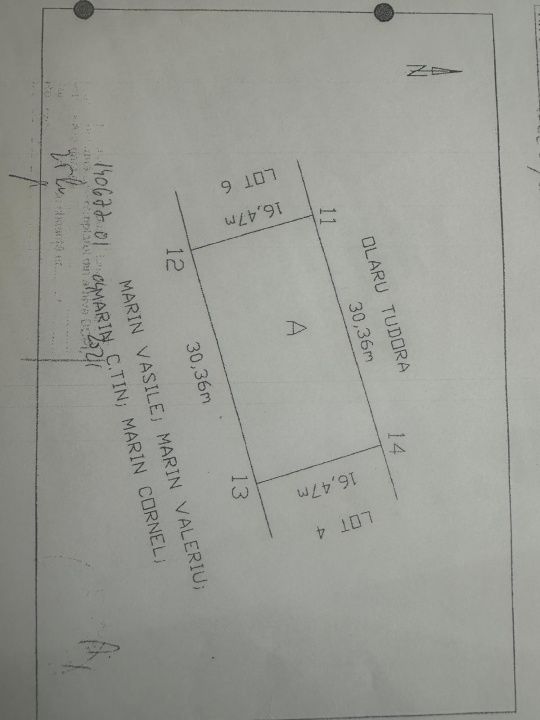 CIOLPANI, LOT 500 MP!