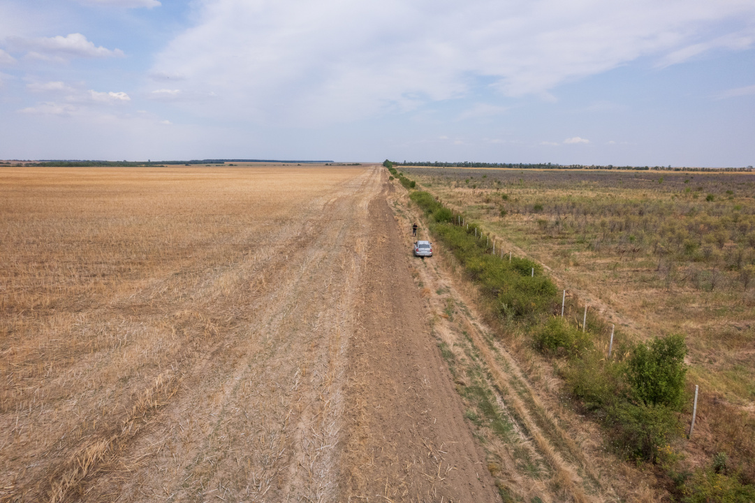 FRUMUSANI - PASAREA, TEREN 14420 MP, FRONT 40 M! 