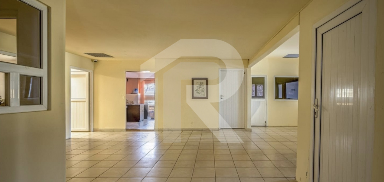 COMPLEX INDUSTRIAL DE VANZARE - PANTELIMON