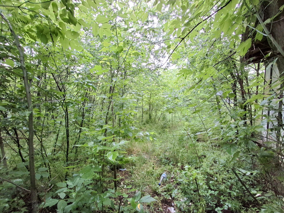 De Vanzare Teren Giulesti 