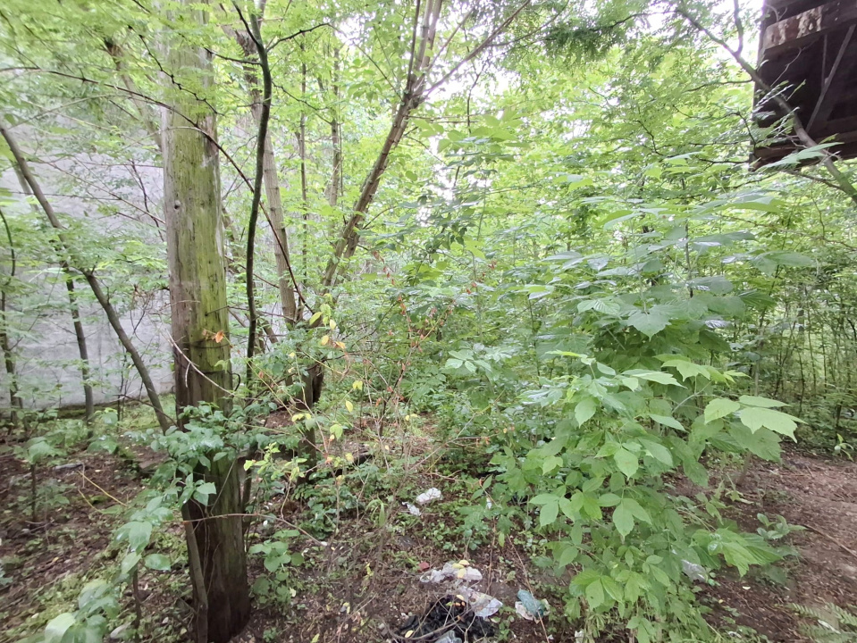 De Vanzare Teren Giulesti 